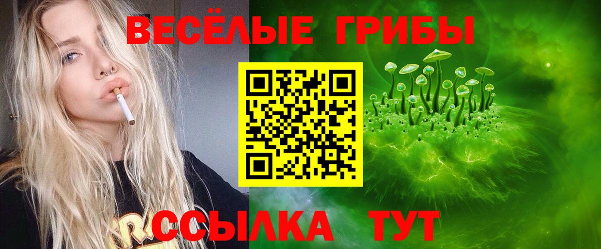 Псилоцибиновые грибы Magic Shrooms  цена   Узловая  Вход с VPN 